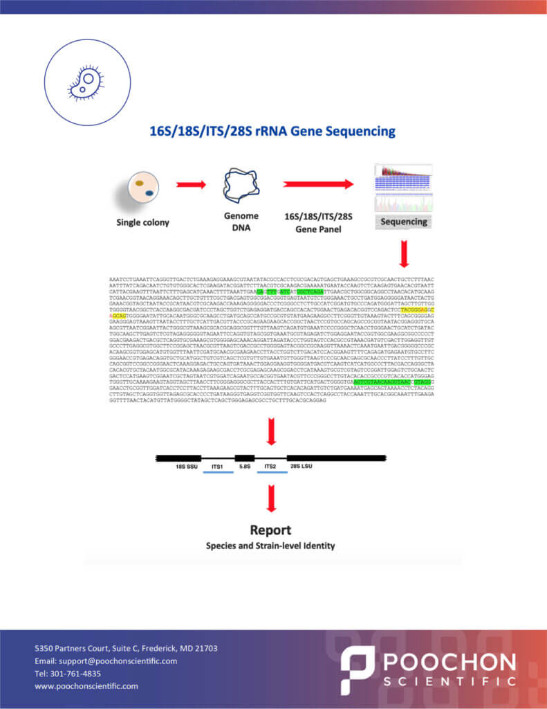 PS-Tech-Notes-Microbial-ID