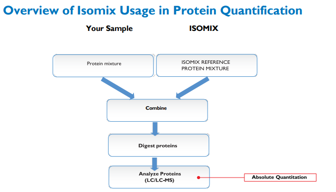 overview-of-isomix-usage-in-protein-quantification